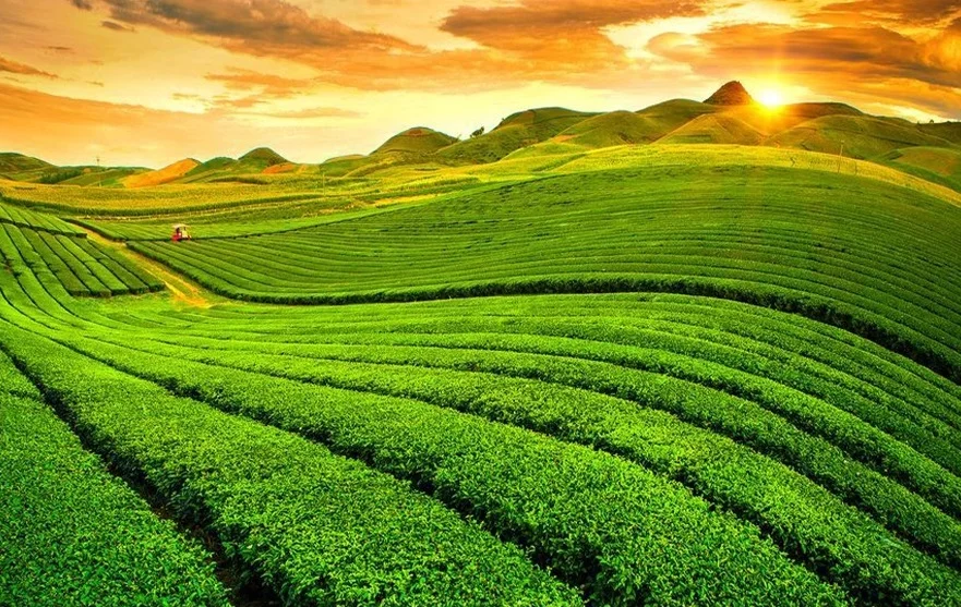 Dien Bien Phu - Moc Chau plateau