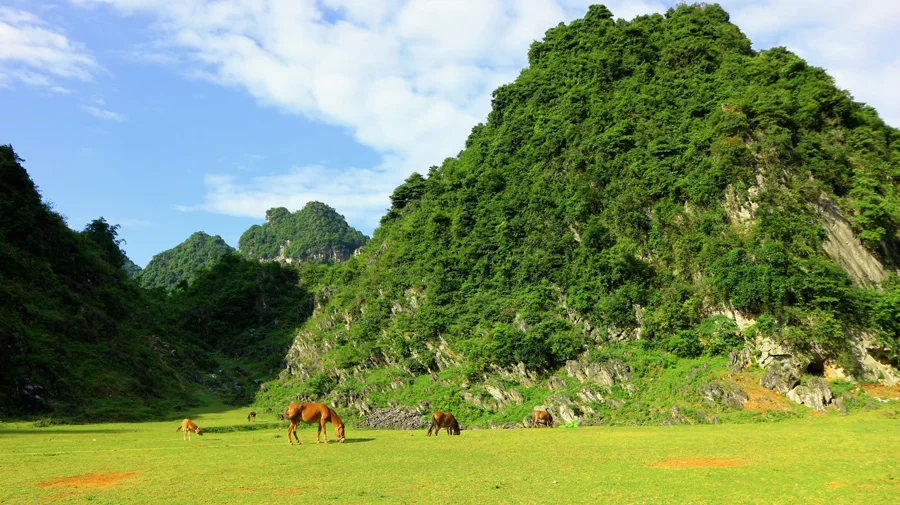 Chi Vien - Dam Thuy (80km)