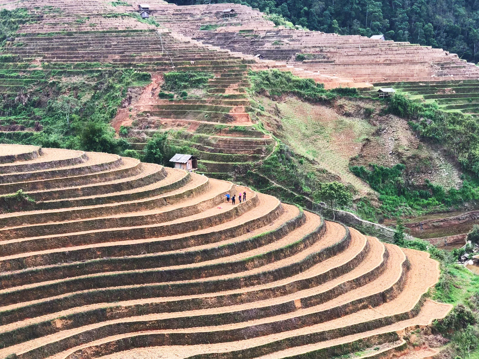 Lam Thuong – Mu Cang Chai